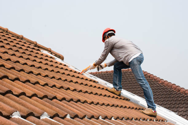 Fast & Reliable Emergency Roof Repairs in Bangor Base, WA